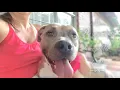 Pebbles Cuddle-bug