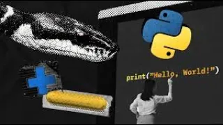 Python Crash Course 3rd Edition Chapter Eight Dictionaries Navigator Litamile