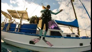 UNDERWATER at the Komodo Islands | Indonesia Episode 104 (Sailing Catalpa)