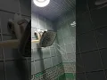 Kohler Ford shower head