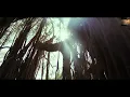 Islamic Meditation Guided | Meditation Islamic | Islamic Music Meditation | Islamic Music Relaxing