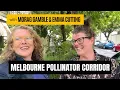 Melbourne is growing a Pollinator Corridor, garden by garden