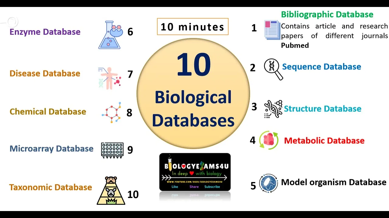 Types of Biological Database in Bioinformatics with example