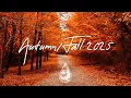 Download Lagu Indie Folk Compilation - Autumn/Fall 2025 🍂 (2-Hour Playlist)
