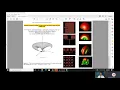 Antennas - Nth Element Linear Array