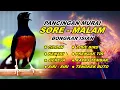 🔴 LIVE 14 - Pancingan Murai Batu Pagi hari Full Isian Tembakan kasar Murai Diam Pasti Nyaut