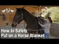 How to Safely Put On Remove a Horse Blanket