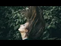 AronChupa & Little Sis Nora - I'm an Albatraoz (Lyrics)