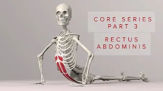Core Series Part 3 Rectus Abdominis Muscle 3D Animation