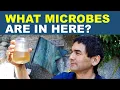 Download Lagu I visited a fountain and want to extract some microbes