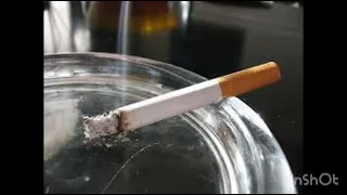 راح زمان الود خلاص 