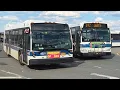 MTA NYCT PM Rush Hour Bus Action at St George Bus Terminal