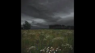 TV Girl Cigarettes Out The Window 