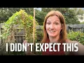 I Left My Garden for a Month Here s What Happened