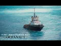 Optimize Your Fleet Discover Oceanaut s Advanced Analytics