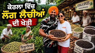 ਕੇਰਲਾ ਵਿੱਚ ਲੌਂਗ-ਲੈਚੀਆਂ ਦੀ ਖੇਤੀ Spice Farming Kerala | Punjabi Travel Couple | Ripan Khushi