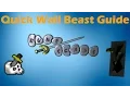 Runescape 2007 - Quick Wall Beast Slayer Guide