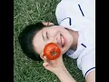 TOMATO (inst.)