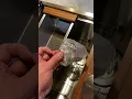 Ruvati undermount 16g stainless steel sink vs Glacier Bay 18g undermount stainless steel sink