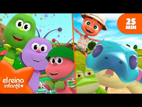 Animales y Bichos | Compilación de canciones de insectos?Canciones infantiles | El Reino Infantil