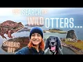 Download Lagu Searching For Wild Otters in Sandaig Bay, Scotland + Exploring 2000 Year Old Ruins \u0026 Painting a Frog