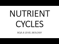 NUTRIENT CYCLES - AQA A LEVEL BIOLOGY EXAM QUESTIONS RUN THROUGH