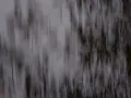 James Ivy - good noise (demo)