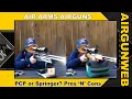 AIR ARMS - PCP Or Springer Pros and Cons