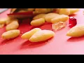 JB - 點解咁撚肥 (Official Music Video)