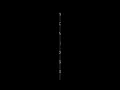 Loving you everyday Lyrics