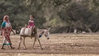 اقمار الضواحي ـ محمود عبدالعزيز الحوت 