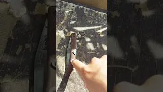 ملاحظه على المطوه ام شوكه الالمانيه   دندنها