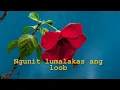 Download Lagu Dina Bonnevie   Bakit Ba Ganyan   Official LyricVideo 360P