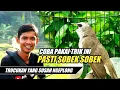 RAWATAN TRUCUKAN AGAR SUARA KERAS/NGEPLONG DAN BAGUS