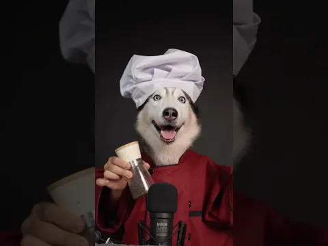 Kitchen ASMR in 10s p2 #asmr #shorts #shortvideo #dogasmr