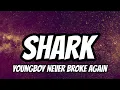 YoungBoy Never Broke Again - Shark (Lyrics)