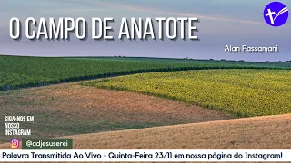 O Campo de Anatote
