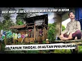 Lagu Selama 20 Tahun Suami Istri Memilih Hidup Di Tengah Hutan Pegunungan, Di Rumah Gubuk Tanpa Listrik