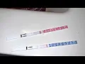 7dpo live pregnancy test there s a line