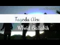 Download Lagu Wiwid Ballabih -Tagoda aku lagu Dayak Kanayat