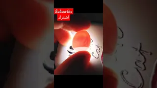 Budgie Chick Inside The Egg فرخ البادجي داخل البيضة  Budgie Chick Inside The Egg فرخ البادجي داخل البيضة