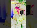 Download Lagu Wedding 08-01-2022 dj wan on air