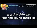 Download Lagu Without Music, Meri Aashiqui Ab Tum He Ho, Acapella, Only Vocals, No Music, OVNM