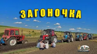 ЗАГОНОЧКА 2022 Обалденная песня ДЛЯ ДУШИ 
