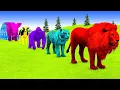 Download Lagu Long Slide Game With Cow Elephant Gorilla Hippopotamus Tiger - 3d Animal Game - Funny 3d Animals