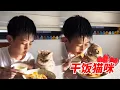 Download Lagu 家有招财|干饭猫咪除了干饭就是粘着哥哥了，呃...哥哥碗里的饭招财也想吃！