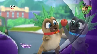 Disney Programs On PlusPlus Ukraine Ident Puppy Dog Pals 2021 