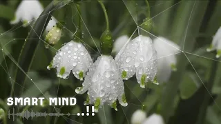 ذاكره قوية عقل صاف ومركز تعلم بسرعة فائقة بيتا لتحفيز الإدراك 