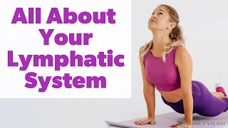 Lymphatic System - Why It Matters for Your Health!
