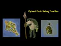 OSRS Tree Run with new Sailing locations Tree Fruit Calquat Hardwood